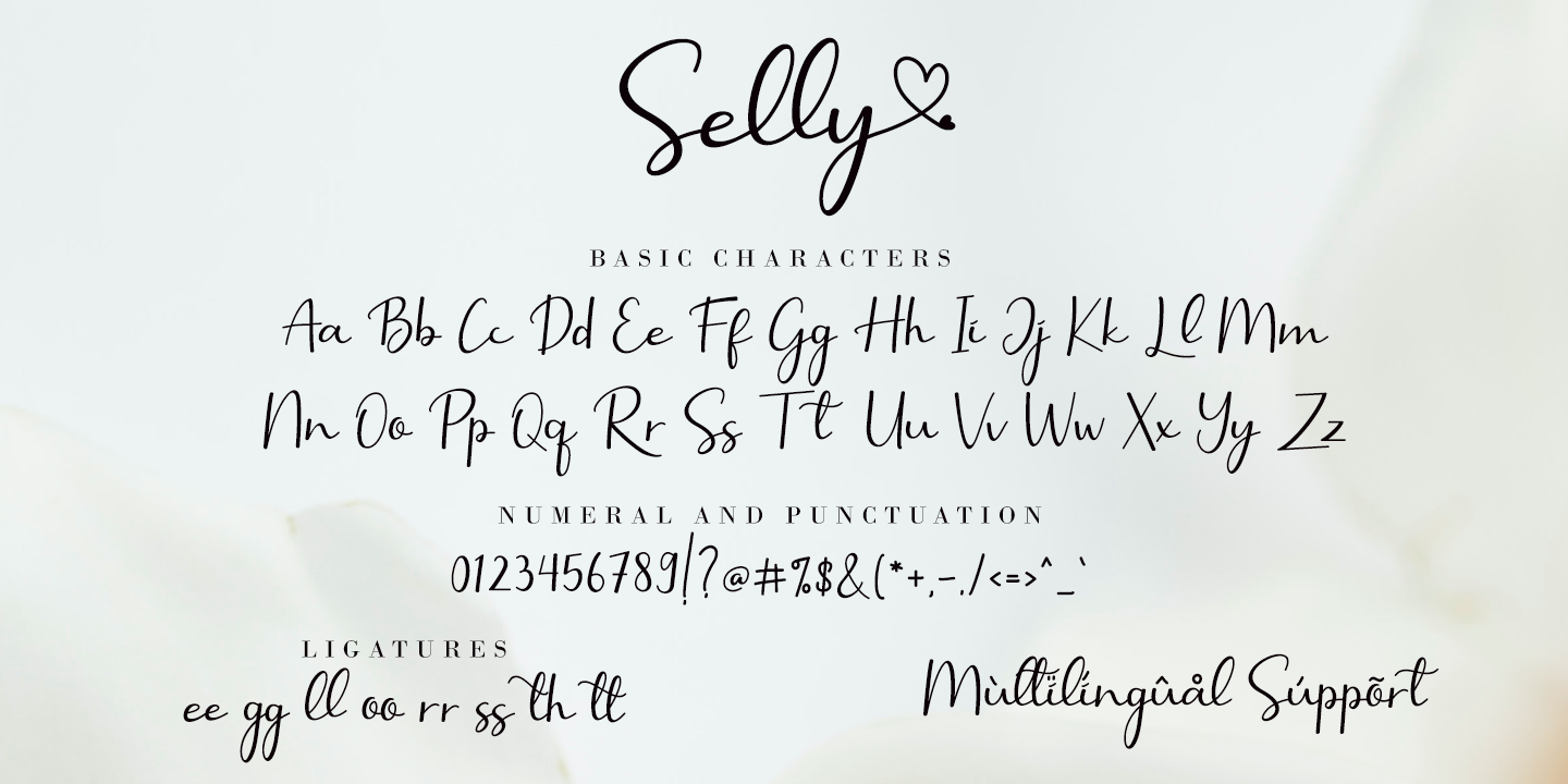 Пример шрифта Selly Calligraphy #4